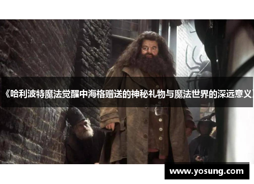 《哈利波特魔法觉醒中海格赠送的神秘礼物与魔法世界的深远意义》